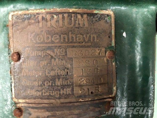  TRIUM QZKS Vandpumpe 水泵浦