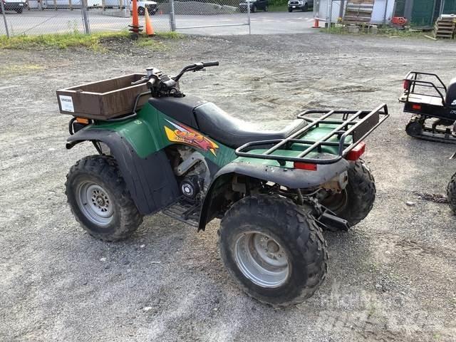 Arctic Cat 454 全地形車