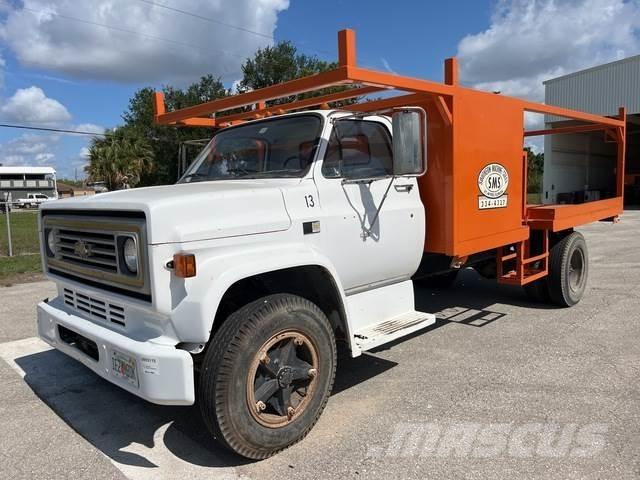 Chevrolet C7 平板式/側卸式卡車