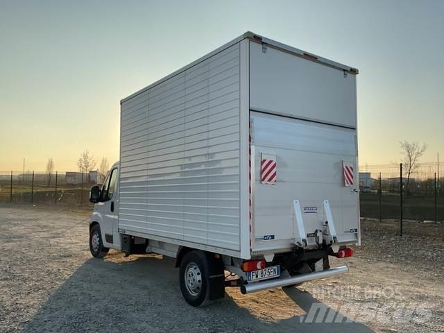 Fiat Ducato 廂式貨物運輸車