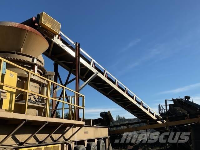  Reesco 36X60 輸送機