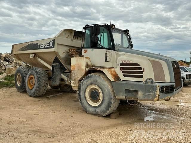 Terex TA30 鉸接式起吊車