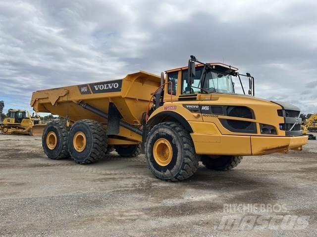 Volvo A45G 鉸接式起吊車