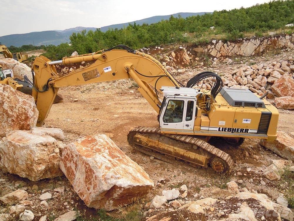 Liebherr R974BHD 履帶式 挖土機/掘鑿機/挖掘機