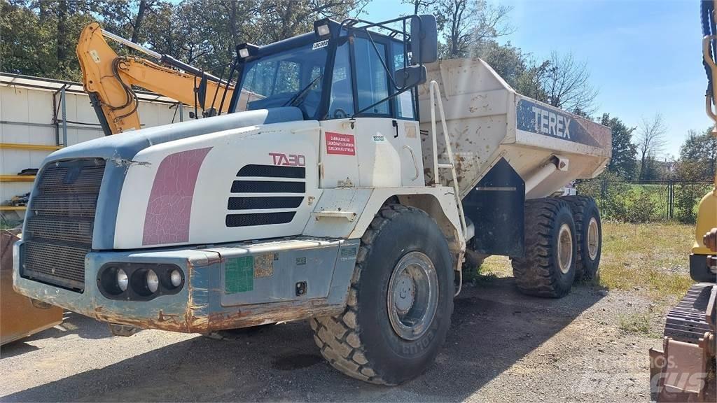 Terex TA30 鉸接式起吊車