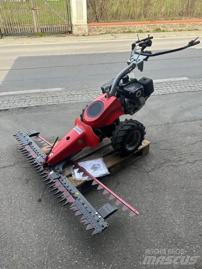 Aebi CC56 騎乘式割草機