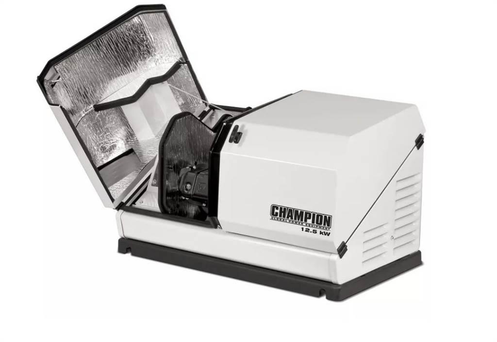 Champion 100838 柴油發電機