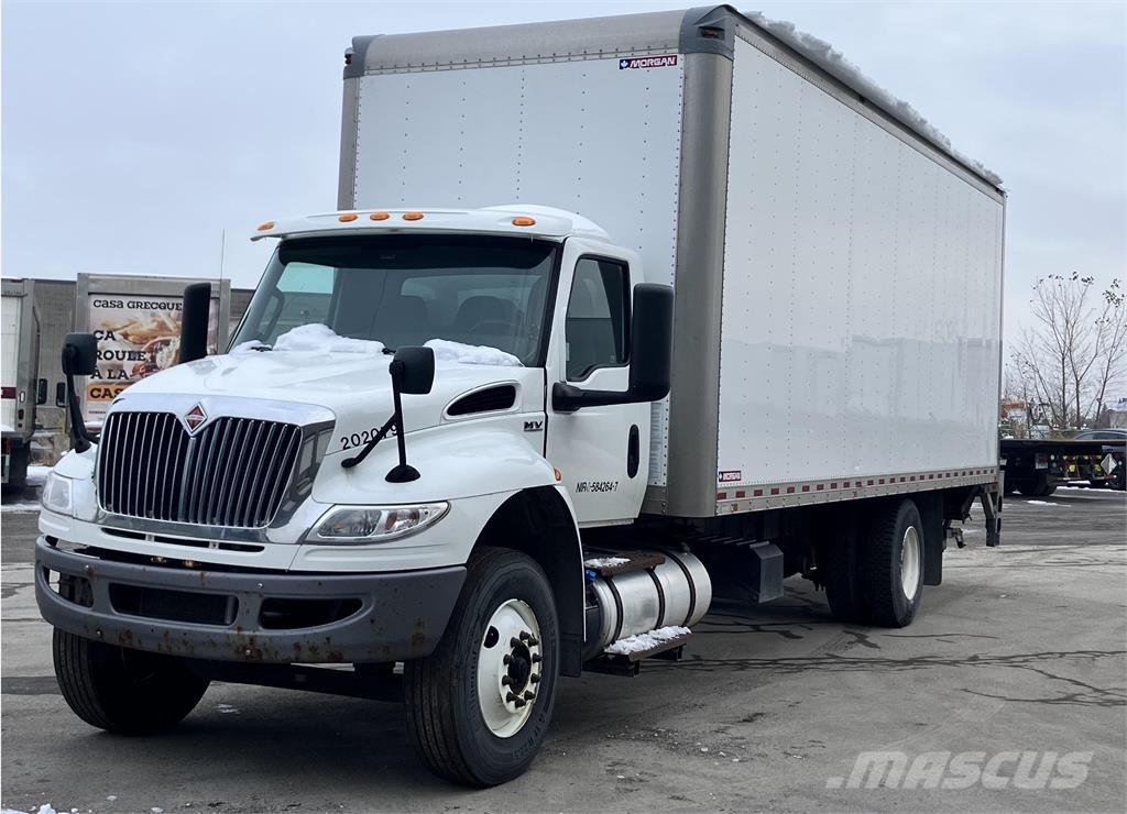 International MV 貨箱式卡車