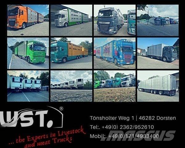 Kässbohrer  篷布拖車