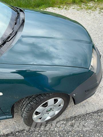 Skoda Fabia 廂式貨物運輸車