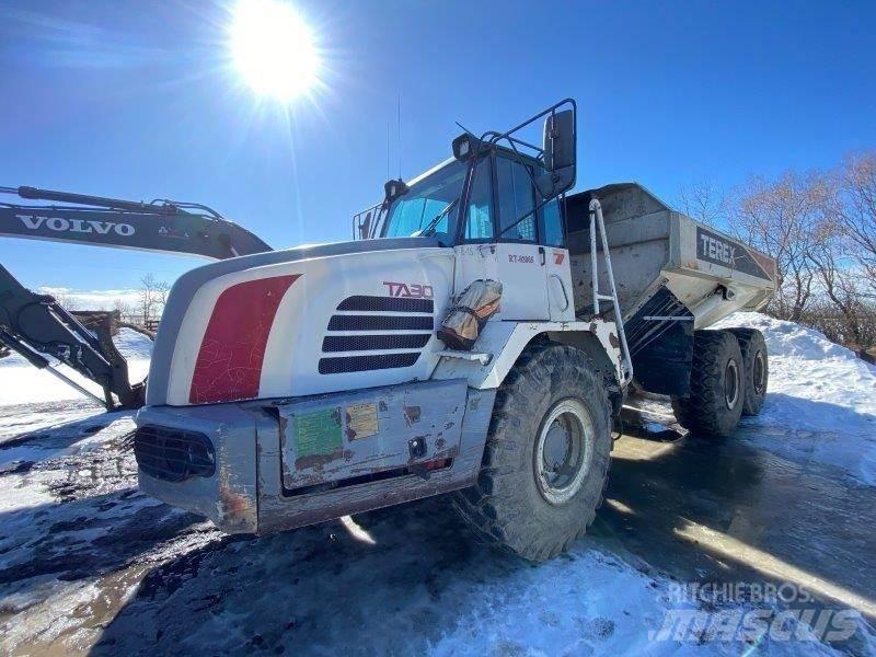 Terex TA30 鉸接式起吊車