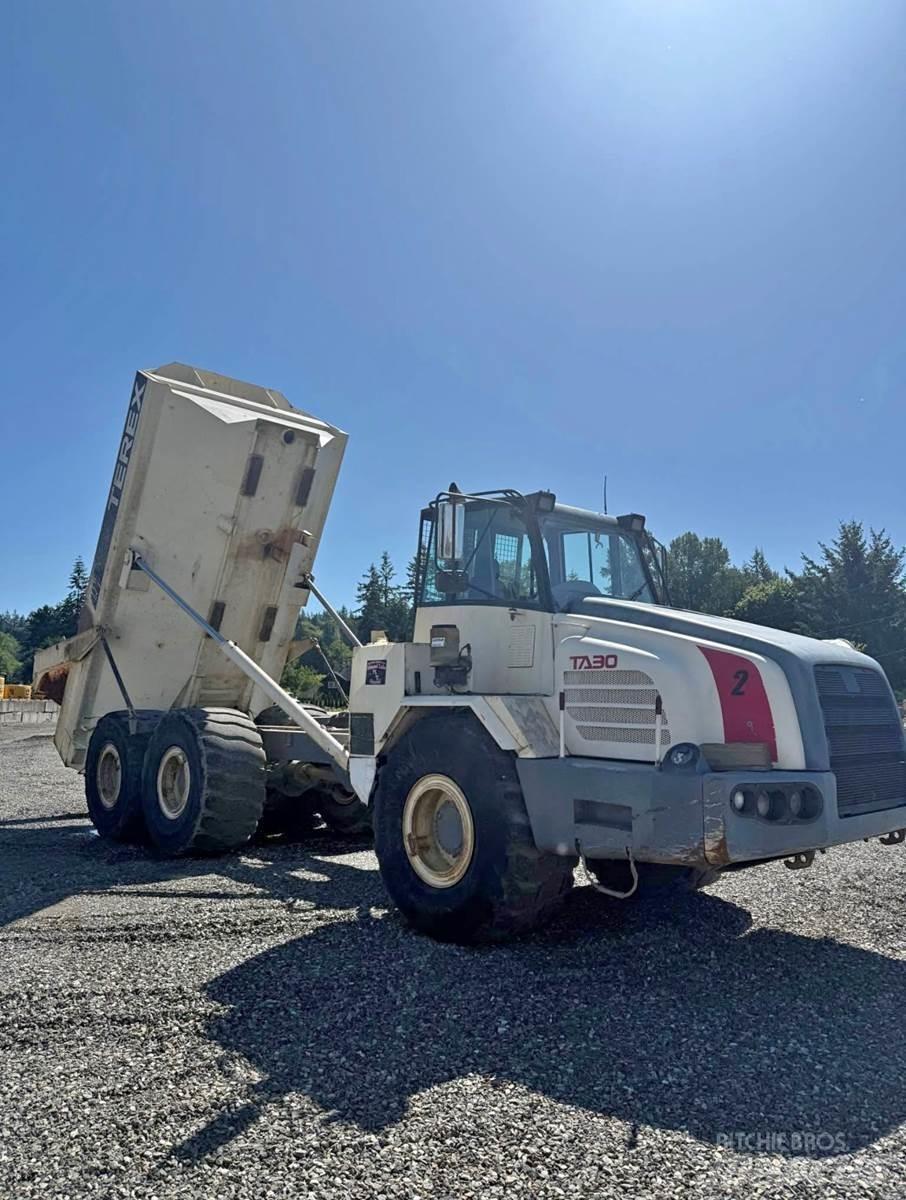 Terex TA30 廂式貨物運輸車