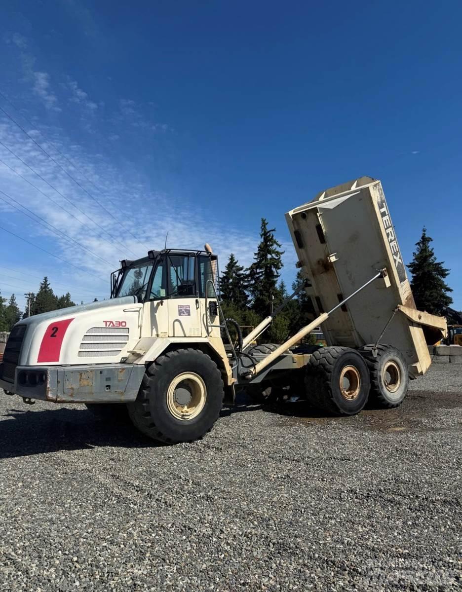 Terex TA30 廂式貨物運輸車