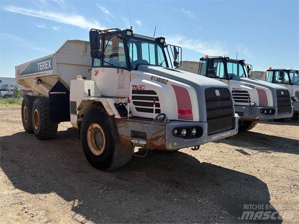 Terex TA30 鉸接式起吊車