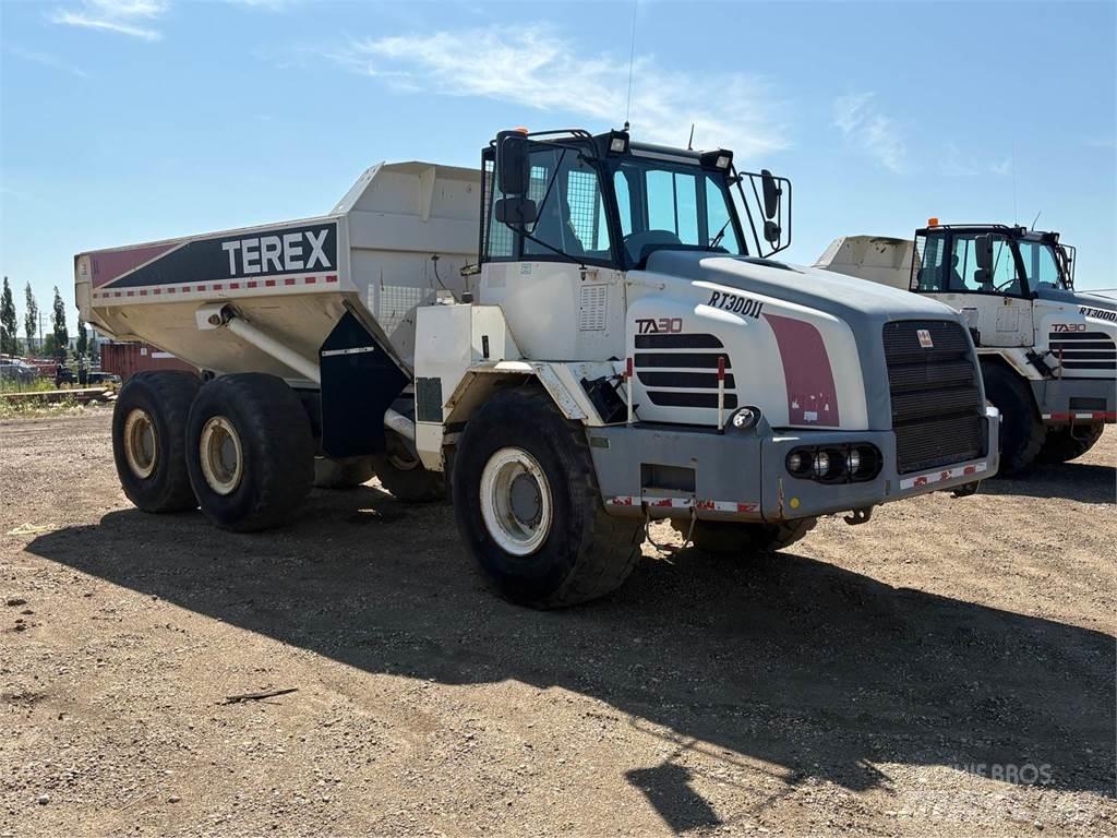 Terex TA30 鉸接式起吊車