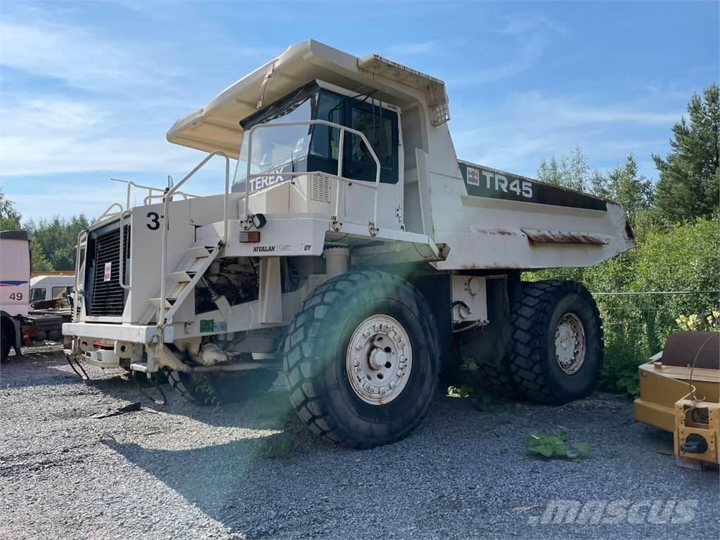 Terex TR 45 鉸接式起吊車