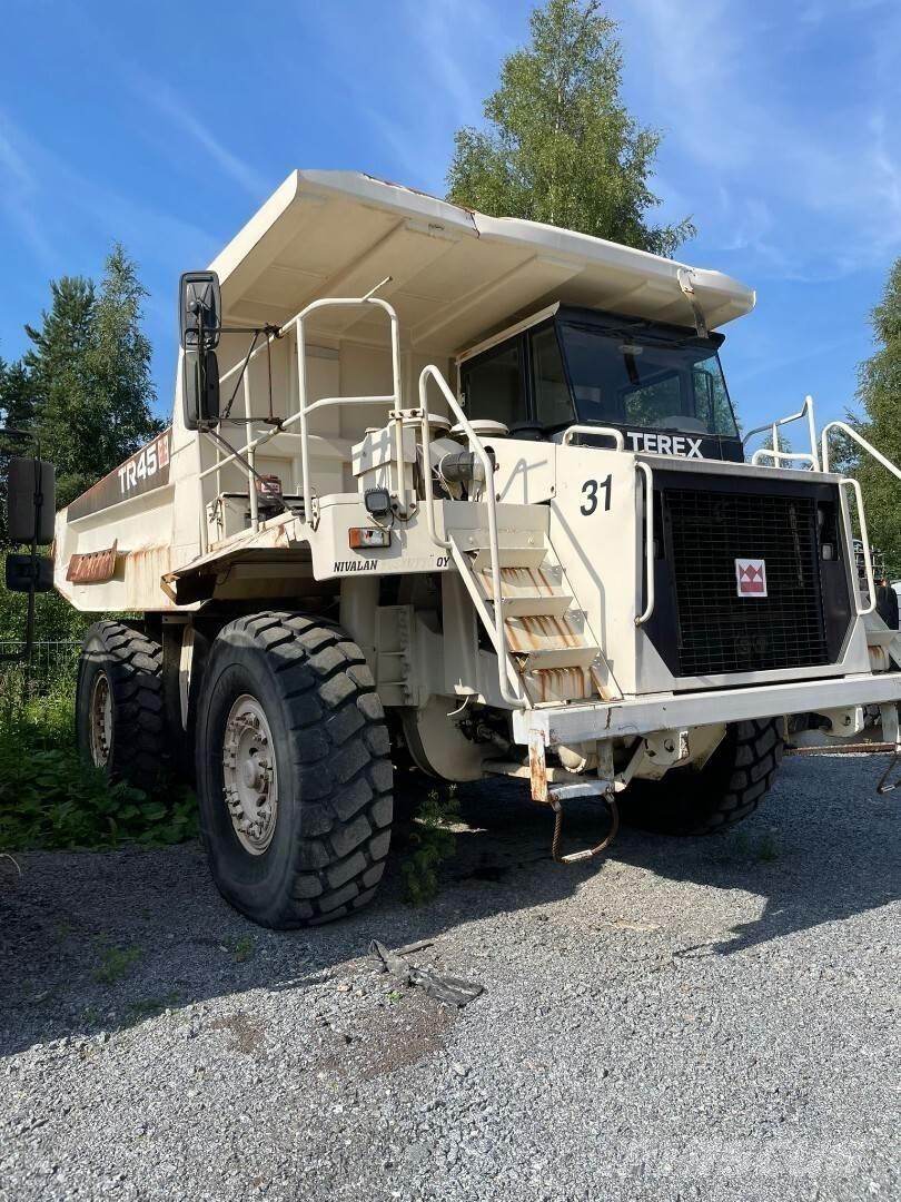 Terex TR 45 鉸接式起吊車