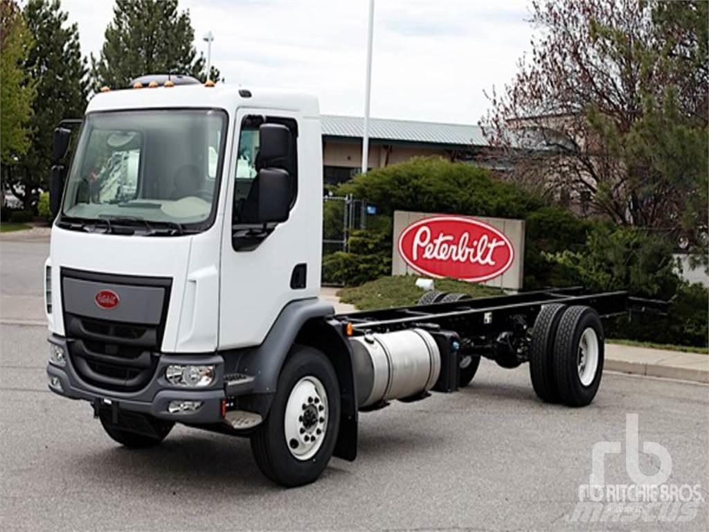 Peterbilt 220 商用底盤車