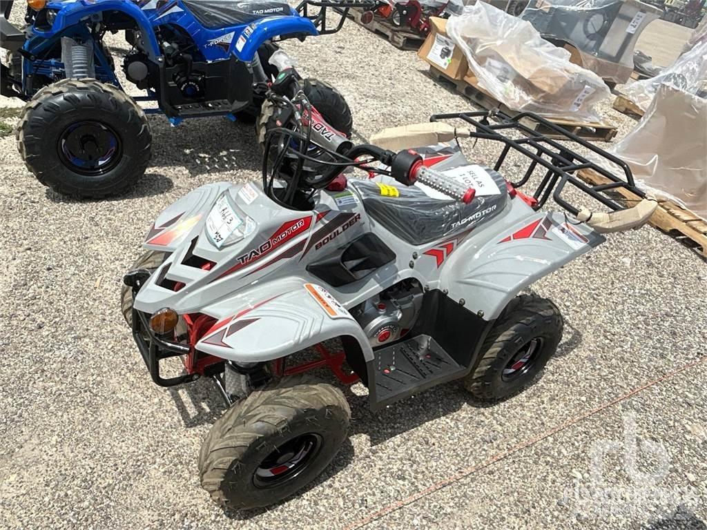  TAO B110 全地形車