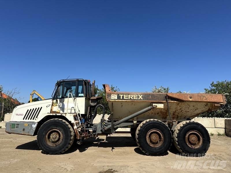 Terex TA250 鉸接式起吊車