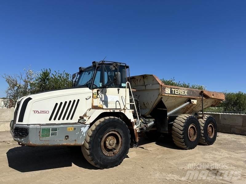 Terex TA250 鉸接式起吊車