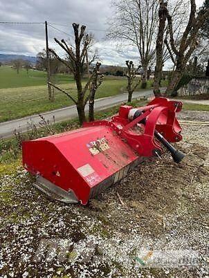 Omarv CUNEO 320 莖葉去葉機