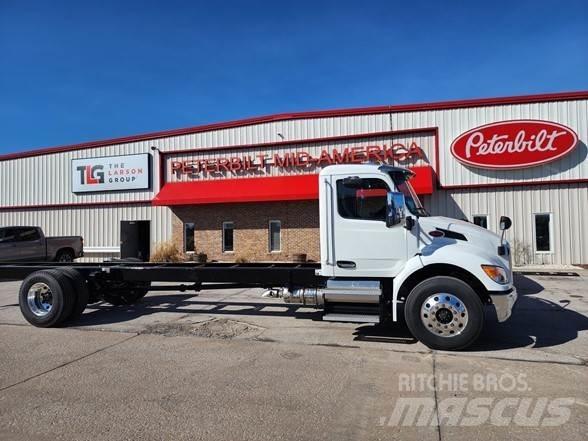 Peterbilt 536 商用底盤車