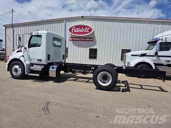 Peterbilt 536 商用底盤車