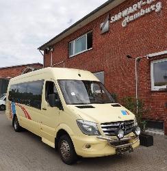 Mercedes-Benz 519 CDI Sprinter *Automet*Euro6*21-Sitze*Klima*